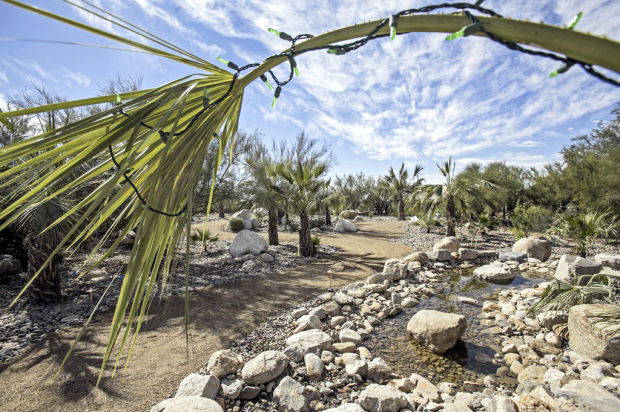 Tohono Chul Park